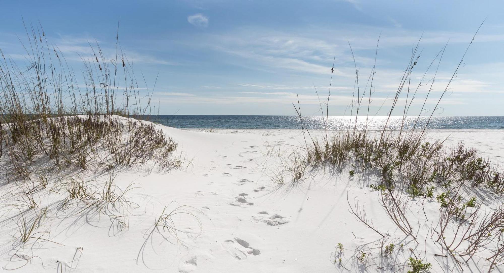 Nautilus 2408 Gulf View 2 Bedroom 4Th Floor Free Beach Service Fort Walton Beach Dış mekan fotoğraf