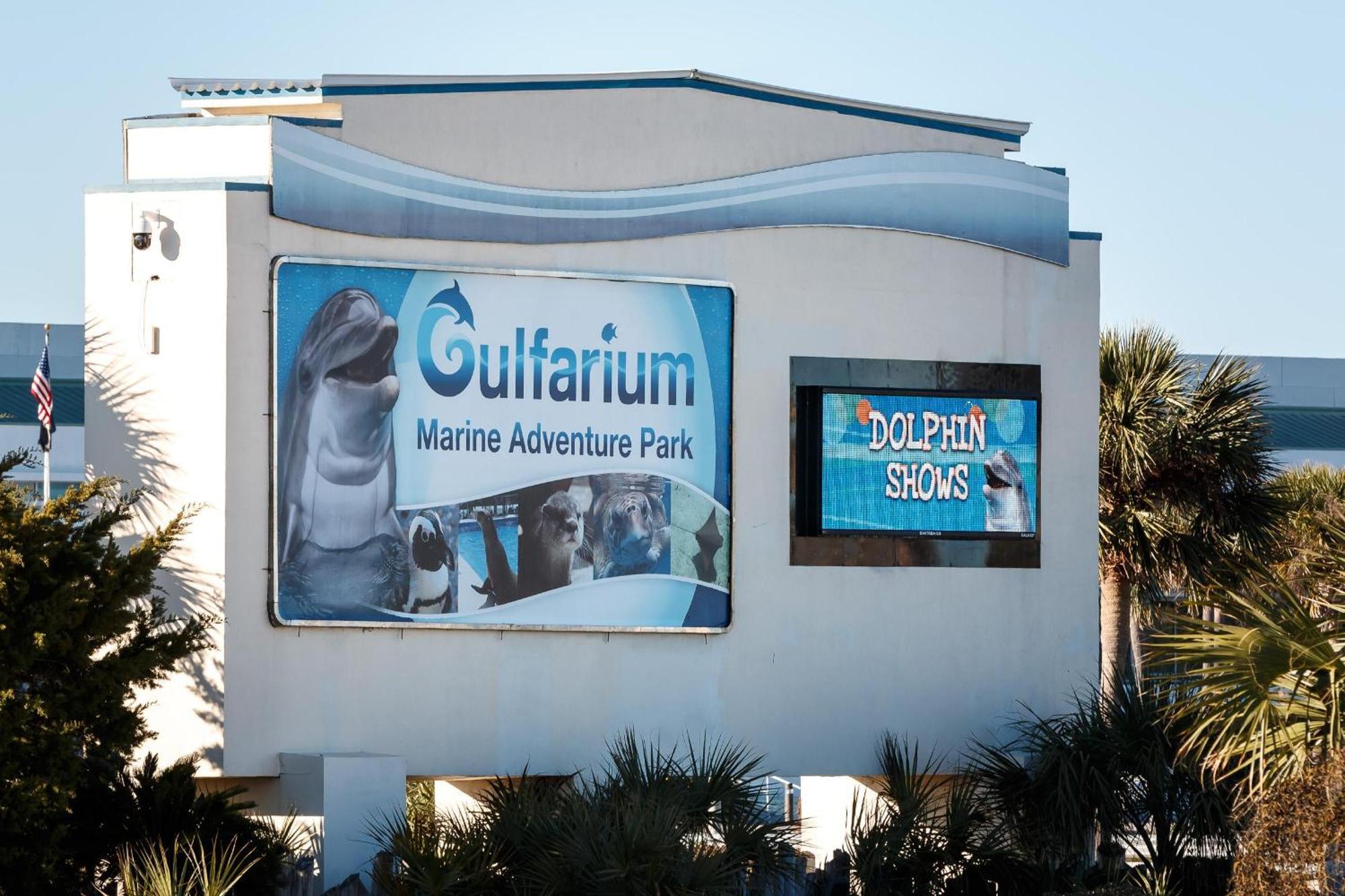 Nautilus 2408 Gulf View 2 Bedroom 4Th Floor Free Beach Service Fort Walton Beach Dış mekan fotoğraf