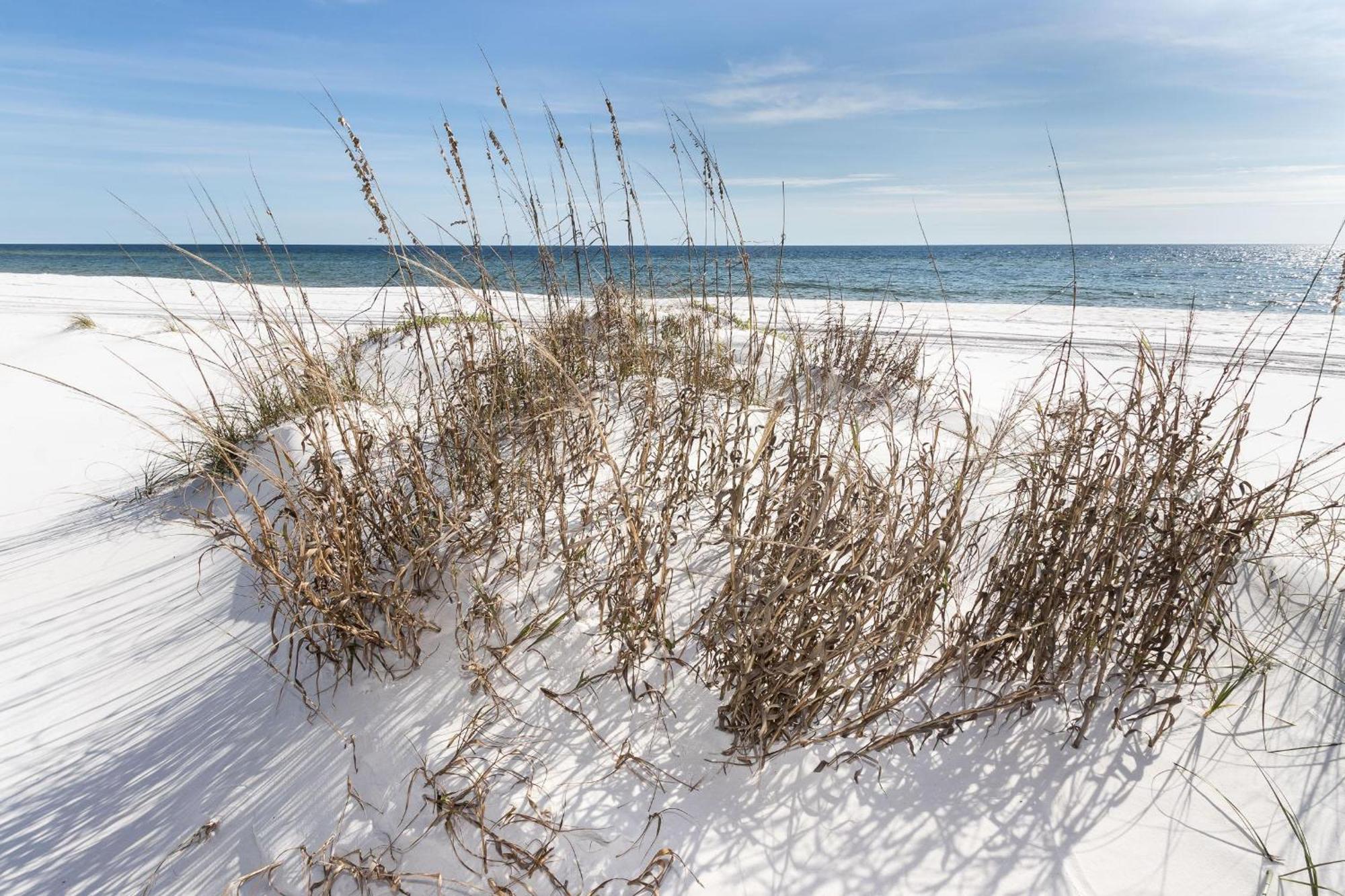 Nautilus 2408 Gulf View 2 Bedroom 4Th Floor Free Beach Service Fort Walton Beach Dış mekan fotoğraf